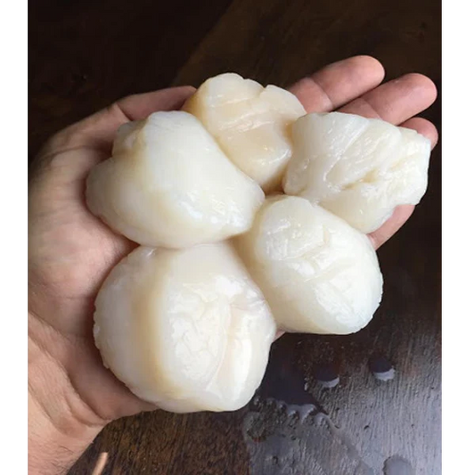 U10 Colossal Sea Scallops-DRY (20) & Wild Caught Argentina Shrimp (2lbs) Seafood Bundle!
