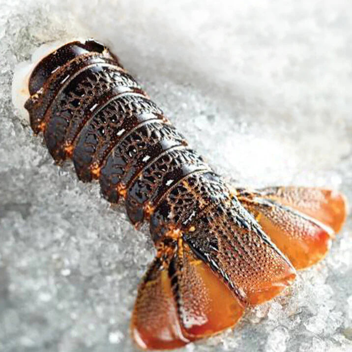 South African F1 Cold Water Lobster Tails 6-7oz. Sale 28.00 ea..